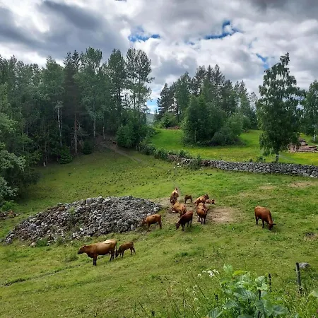 Beautiful Place Among Forests And Fields In A Good Old Style * Eggedal